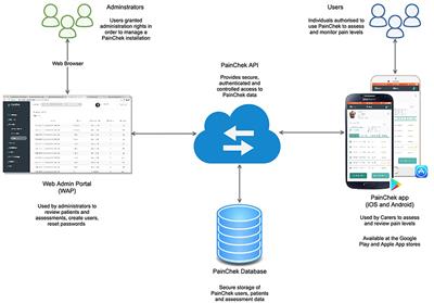 Faces of Pain in Dementia: Learnings From a Real-World Study Using a Technology-Enabled Pain Assessment Tool
